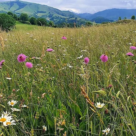 Maison Typique Des Monts Du Cantal Vakantiehuis